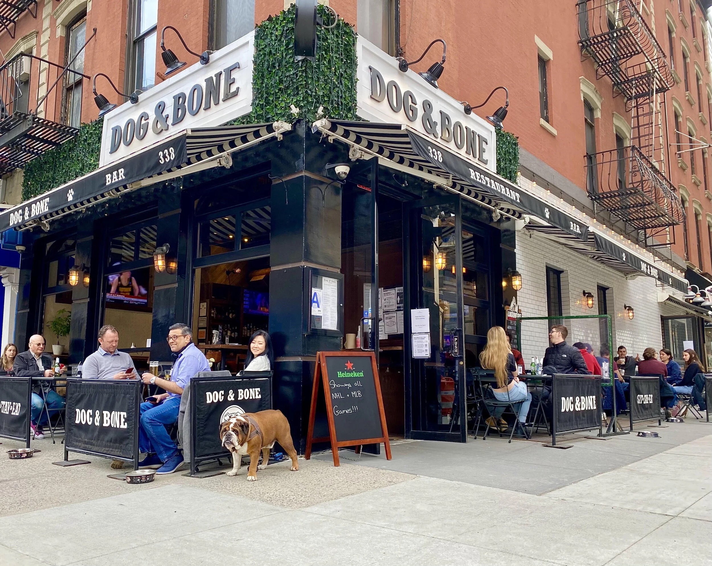 Dog & Bone Tavern