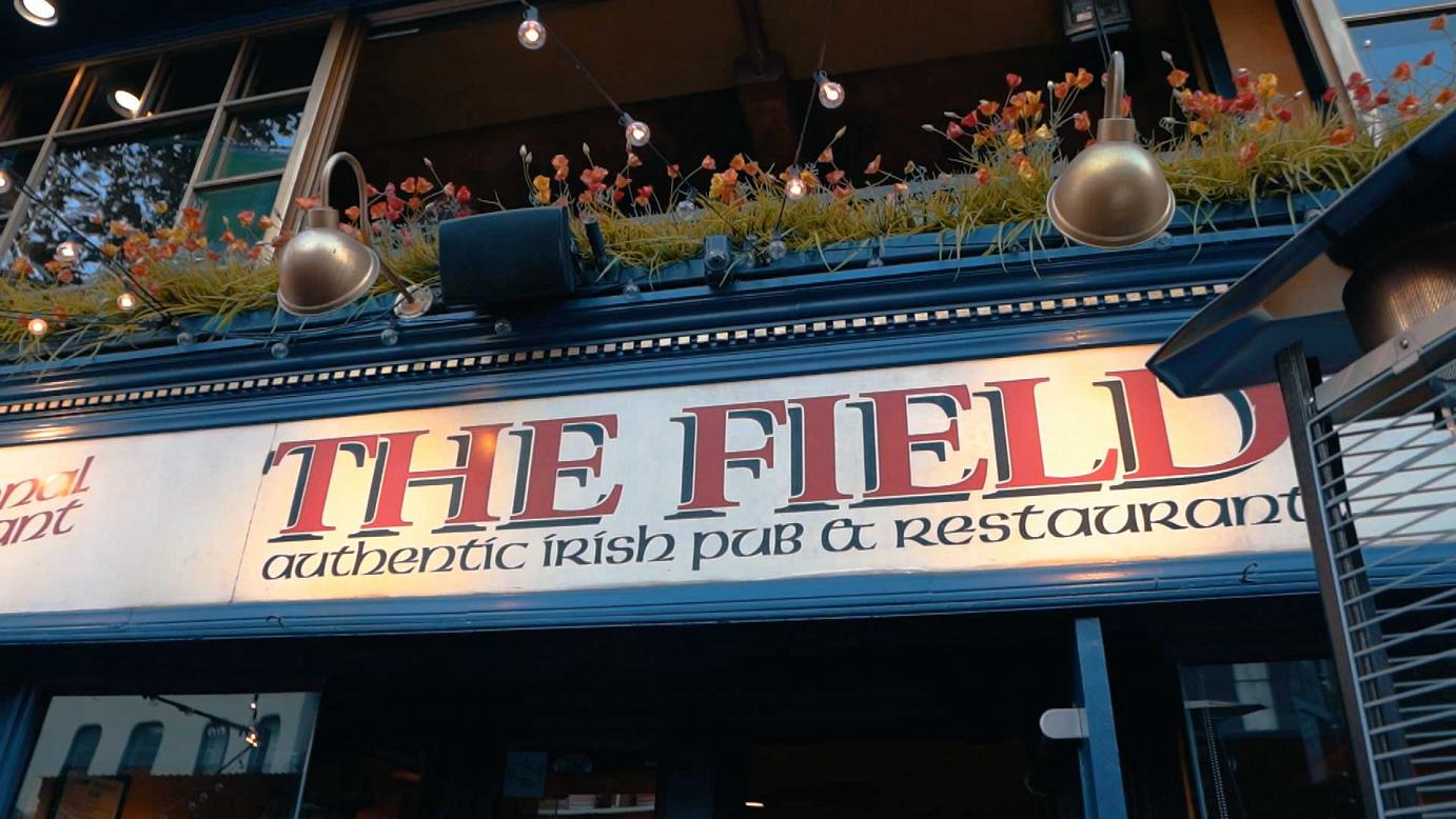 The Field Irish Pub